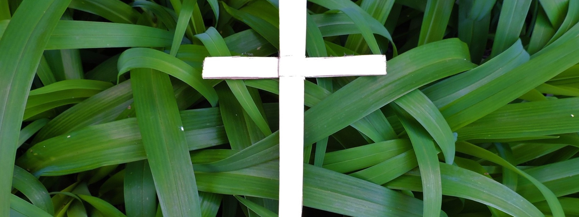 Palm Sunday Service *10:45am April 2nd