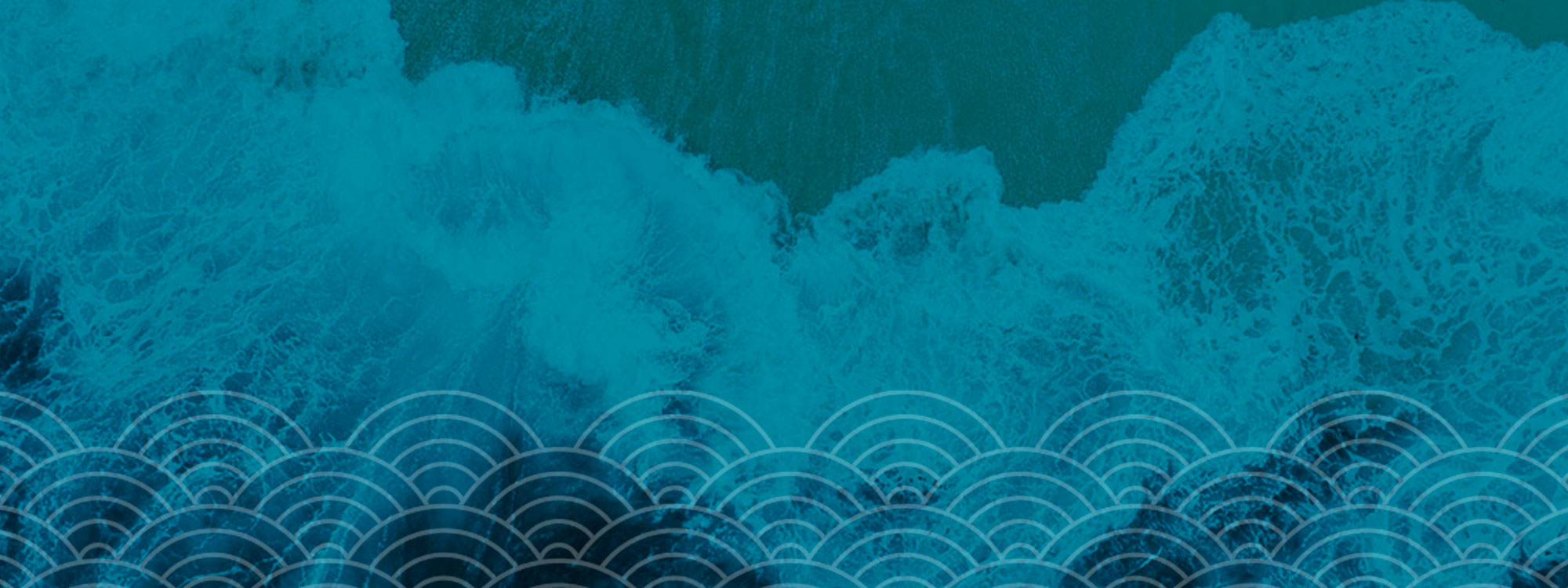 Sermon Catch-up*Free teaching for everyone*Media library