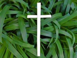 Palm Sunday image